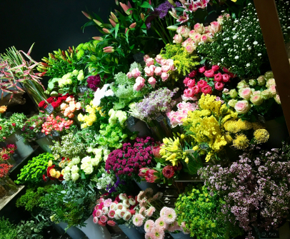 arrivafes de fleurs à Chalonnes-sur-Loire près d'Angers dans la Maine-et-Loire 49